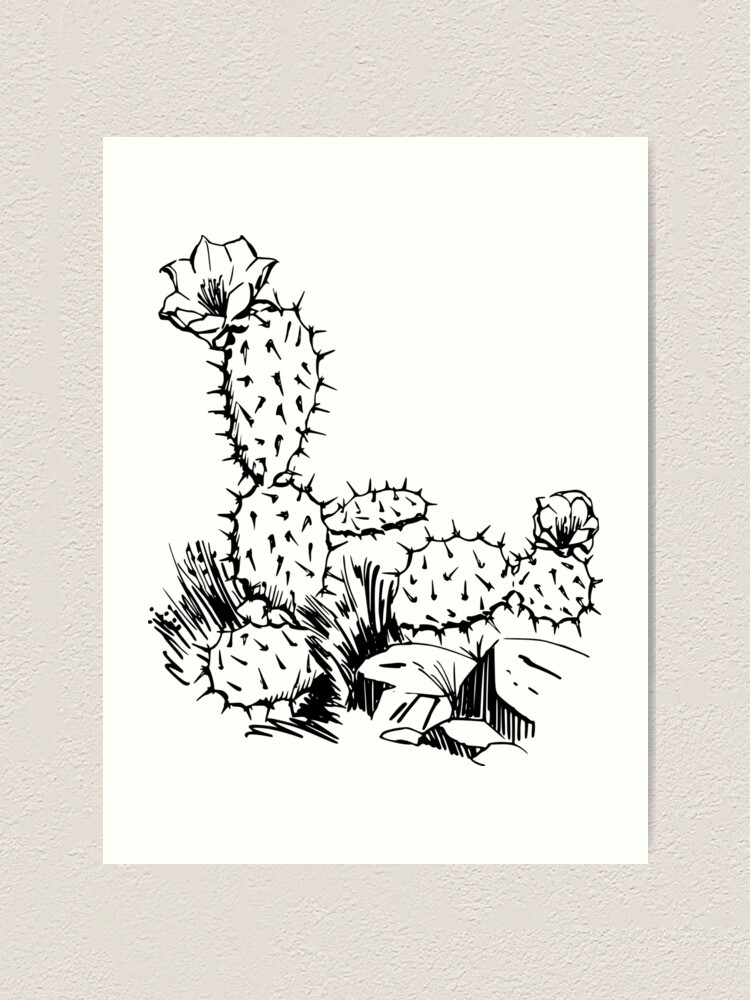 Impression Artistique Croquis De Plante De Cactus Epineux Noir Et Blanc Par Jmsd Redbubble