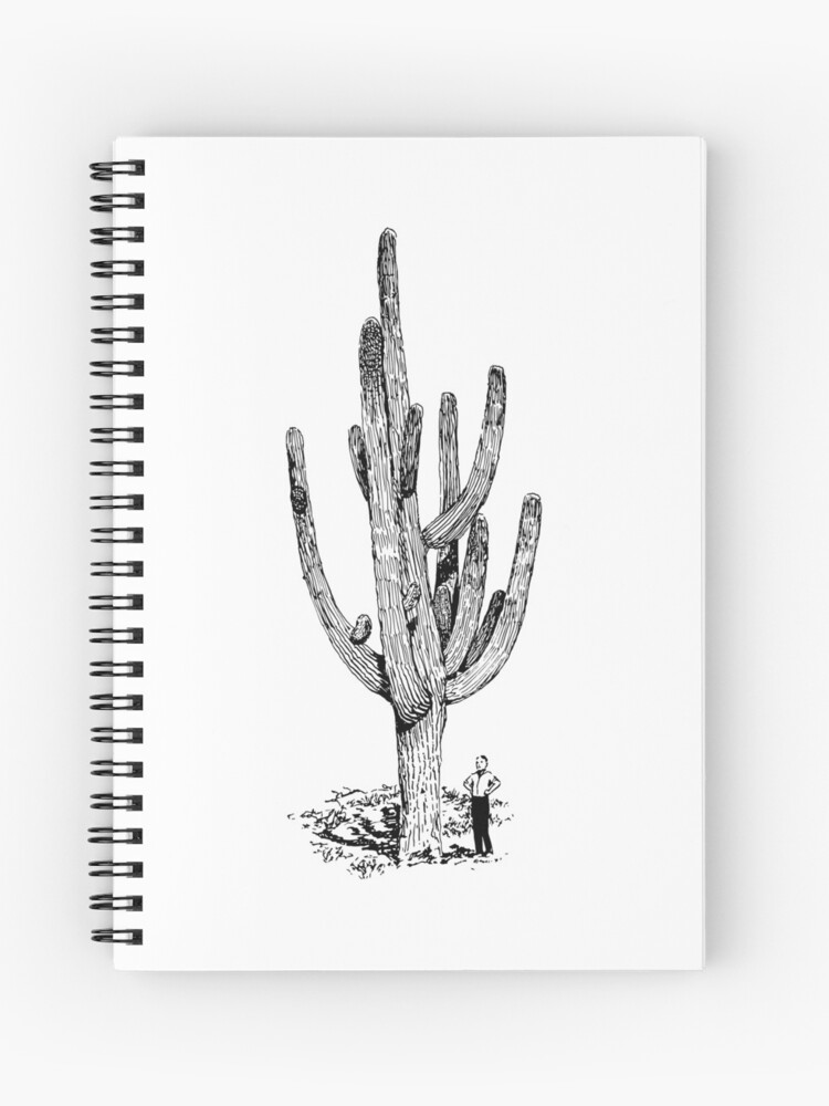 25 Cactus drawing ideas | cactus drawing, cactus, sketch book