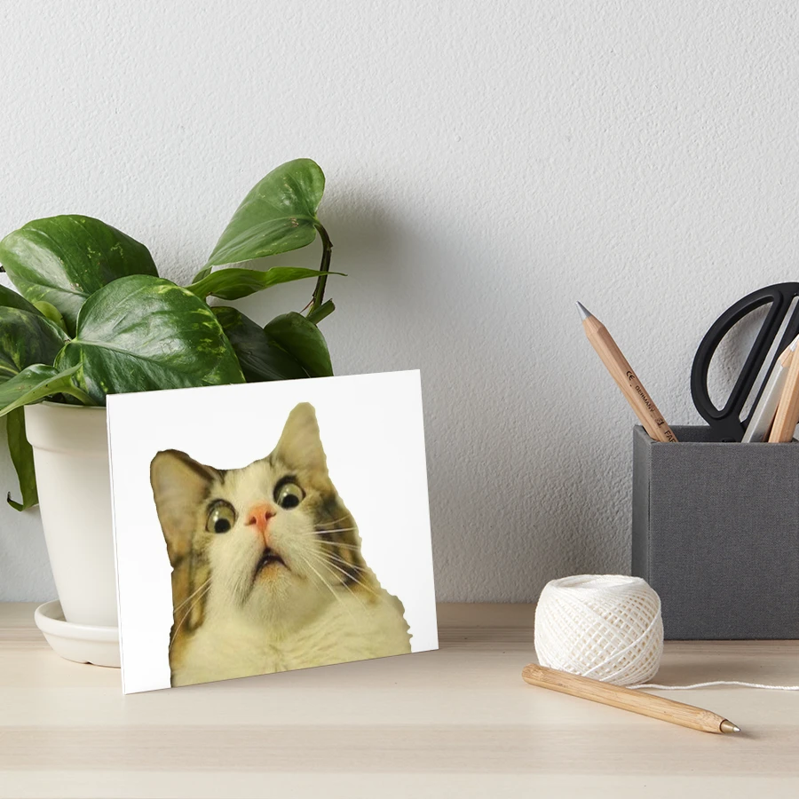 Cat Shitpost meme Art Board Print for Sale by Season's Store