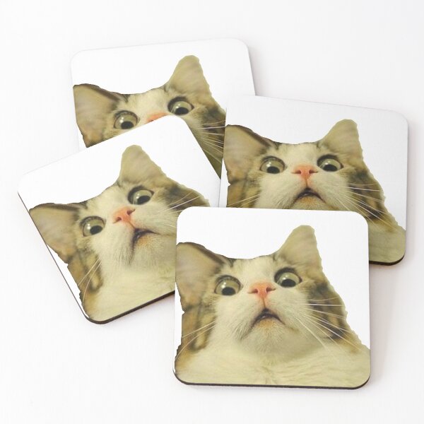 Item preview, Surprised cat meme designed and sold by carolineduffy.
