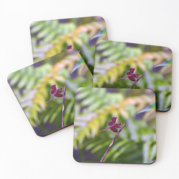 Item preview, Dragonfly designed and sold by fnq-photography.
