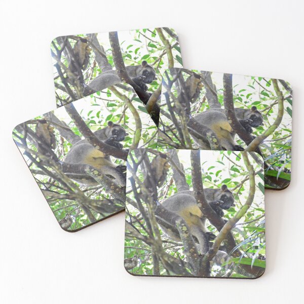 Item preview, Tree Kangaroo - Tablelands designed and sold by fnq-photography.