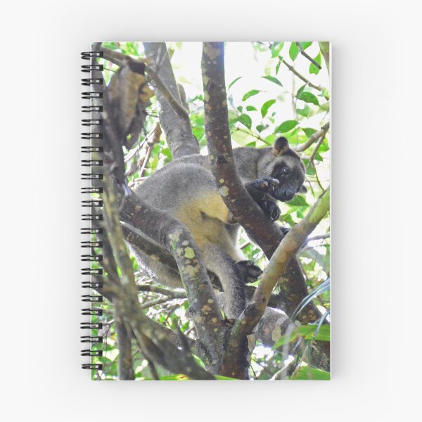 Item preview, Tree Kangaroo - Tablelands designed and sold by fnq-photography.