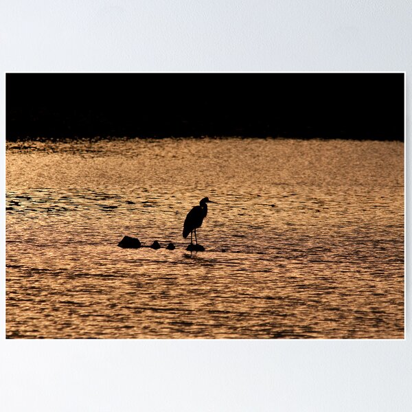 Item preview, Grey Heron at Sunset designed and sold by Jon Lees.