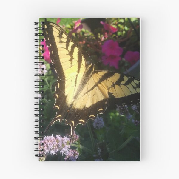 Aperçu de l'œuvre Tiger Swallowtail Elegance créée et vendue par 21feathers.