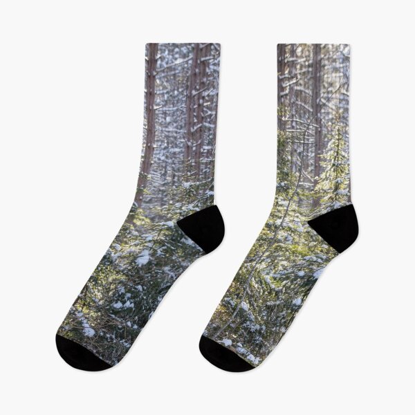 Item preview, Snowy Sunlit Trees designed and sold by Amy Louhela.