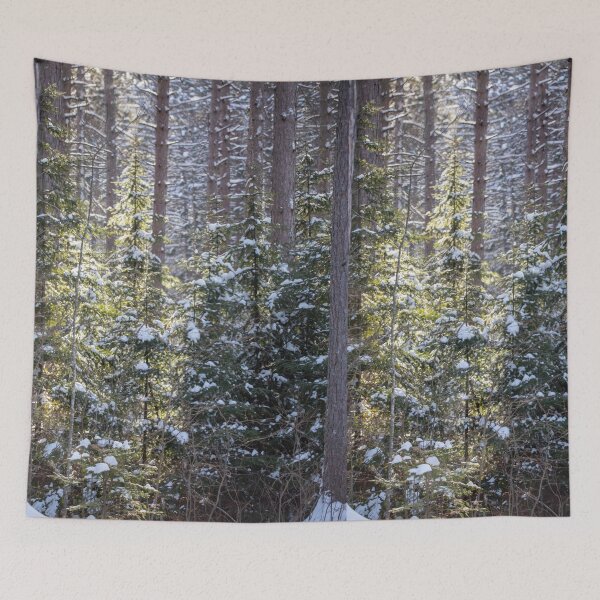 Item preview, Snowy Sunlit Trees designed and sold by Amy Louhela.