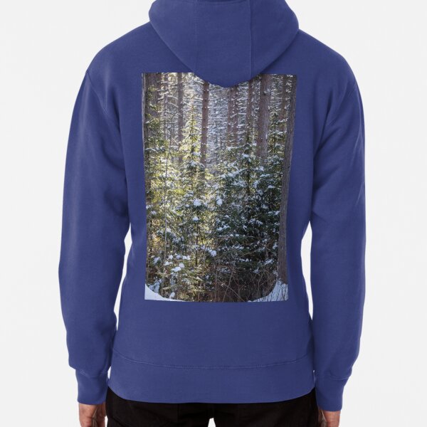 Snowy Sunlit Trees Pullover Hoodie