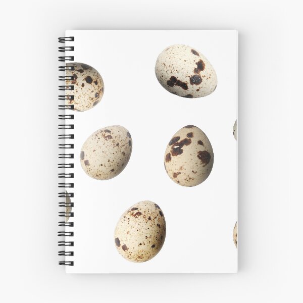 Item preview, Fresh Quail Eggs Isolated On White Background designed and sold by nenovimages.