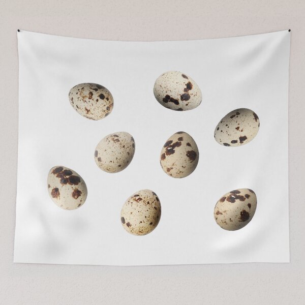 Item preview, Fresh Quail Eggs Isolated On White Background designed and sold by nenovimages.