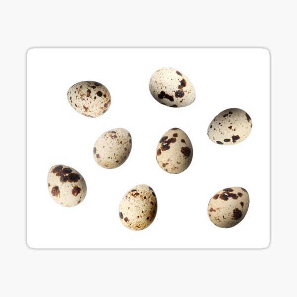 Item preview, Fresh Quail Eggs Isolated On White Background designed and sold by nenovimages.