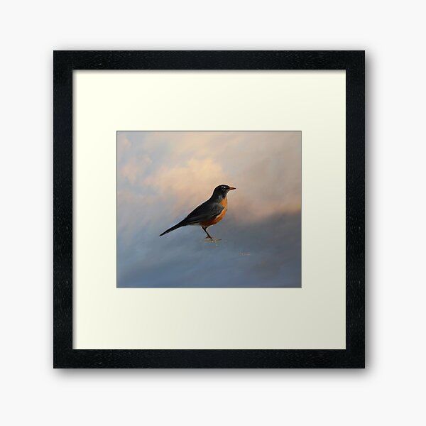 Framed Print