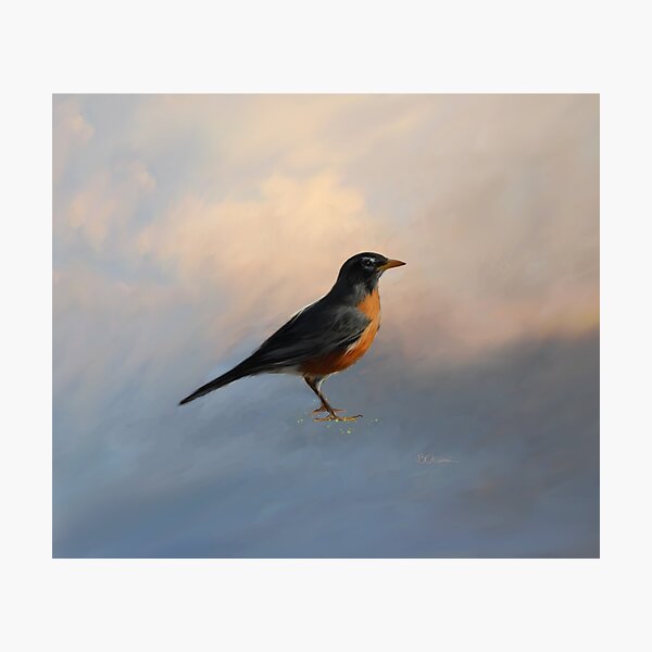 Photographic Print