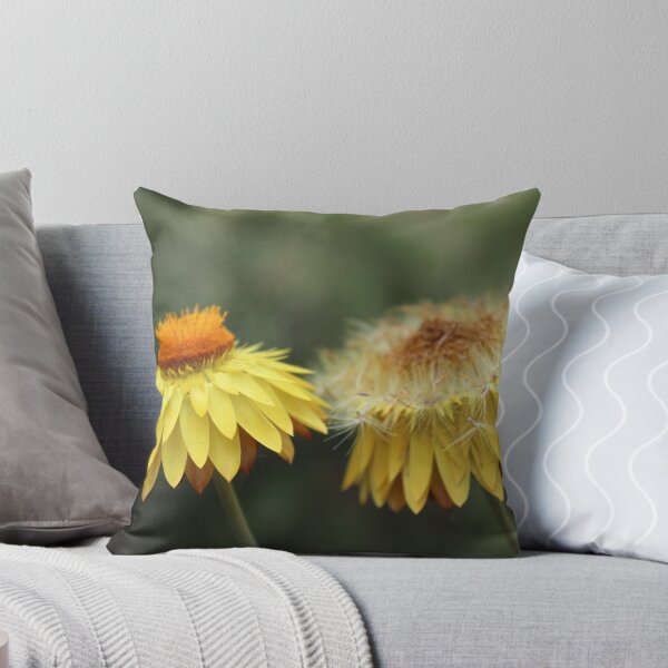 Item preview, Australian Daisy  designed and sold by Linda Sijpkes.