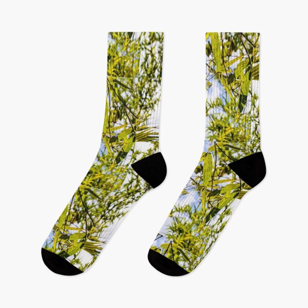 Item preview, BAMBOO PHOTO designed and sold by apparelsocietee.