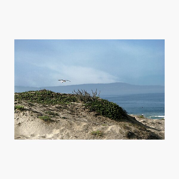 Aperçu de l'œuvre Beach Serenity créée et vendue par Ellen Cotton.