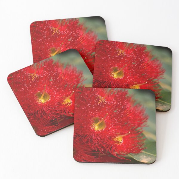 Item preview, Eucalyptus Flowers Red designed and sold by Joy Watson - Natural Light Photography .