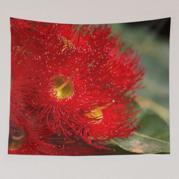 Item preview, Eucalyptus Flowers Red designed and sold by Joy Watson - Natural Light Photography .