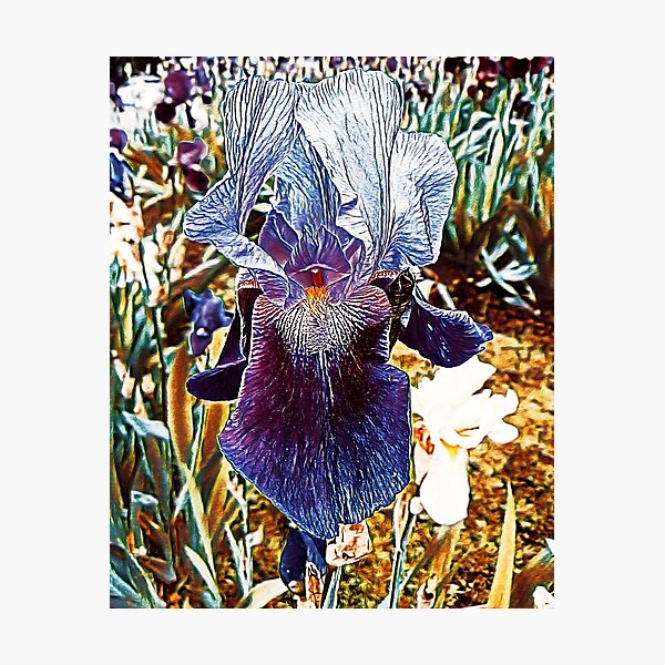 Item preview, Pretty violet irises designed and sold by helenkaiy.