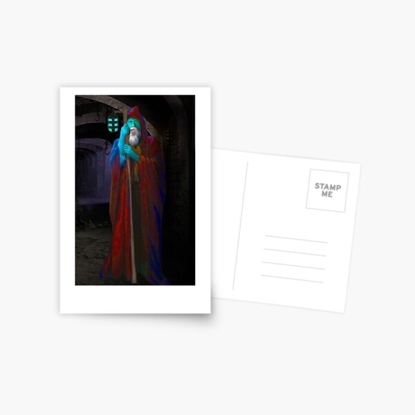 THE HERMIT Postcard