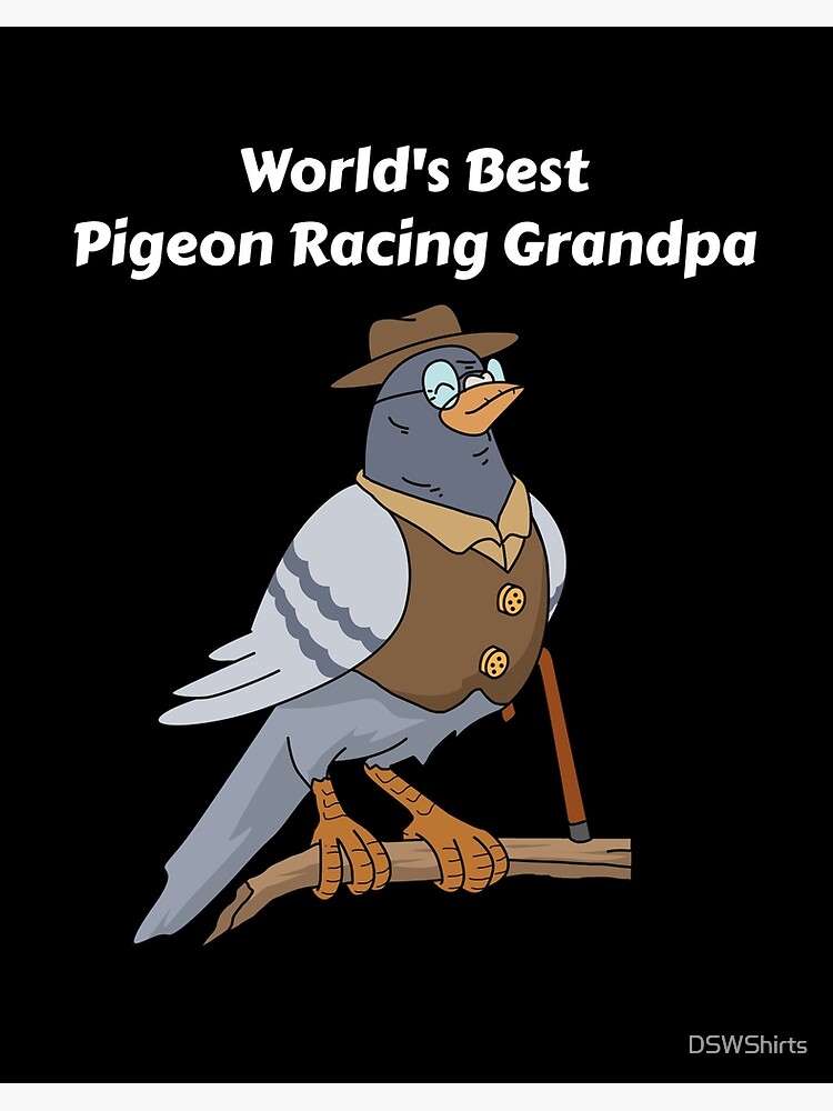 World's Best Pigeon Racing Grandpa Gifts Pigeon Composition Notebook 110  Pages Wide Ruled 8.5 x 11 in: Coco's Pigeon Racing & Breeding Composition  Books: 9798606100729: Amazon.com: Books