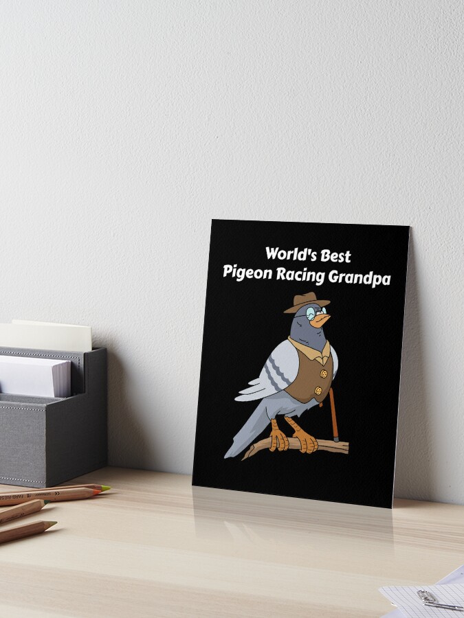 Pocket Guide to Pigeon Watching: Getting to Know the World's Most  Misunderstood Bird - Mass Audubon Shop