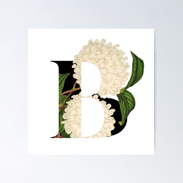 Artikelvorschau, Secret Garden in Buchstabe B / mit Vintage Feel entworfen und verkauft von AlexVDesign.