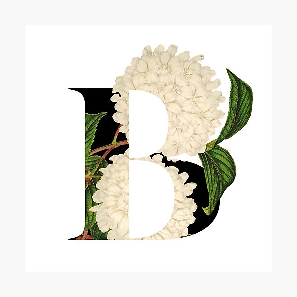 Item preview, Secret Garden in Letter B / with Vintage Feel designed and sold by AlexVDesign.