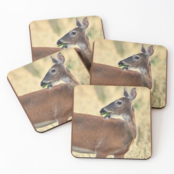 Item preview, White-tailed deer making a joke designed and sold by Jouko Lehto Photography.