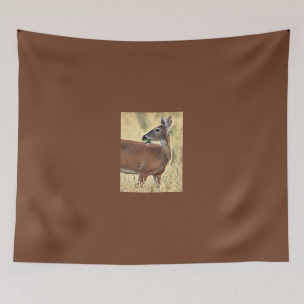 Item preview, White-tailed deer making a joke designed and sold by Jouko Lehto Photography.