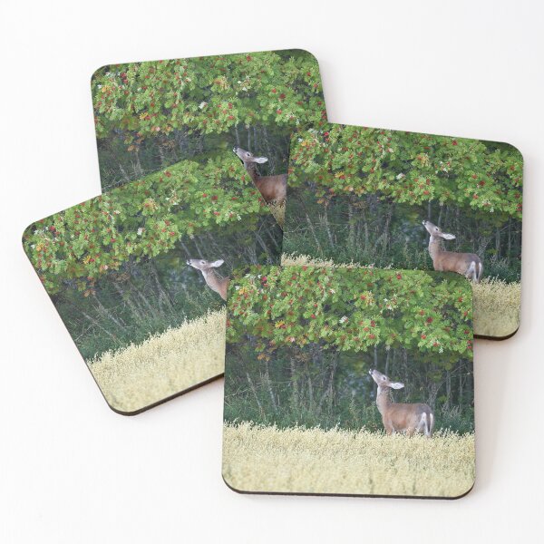 Item preview, I would just love those rowan berries. White-tailed deer designed and sold by Jouko Lehto Photography.