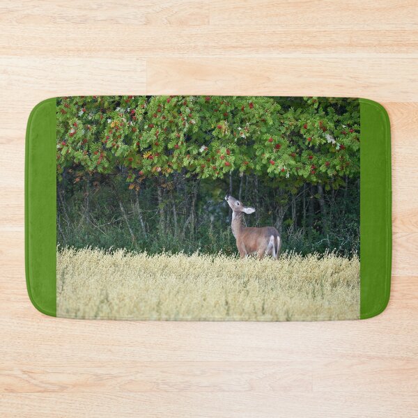 Item preview, I would just love those rowan berries. White-tailed deer designed and sold by Jouko Lehto Photography.