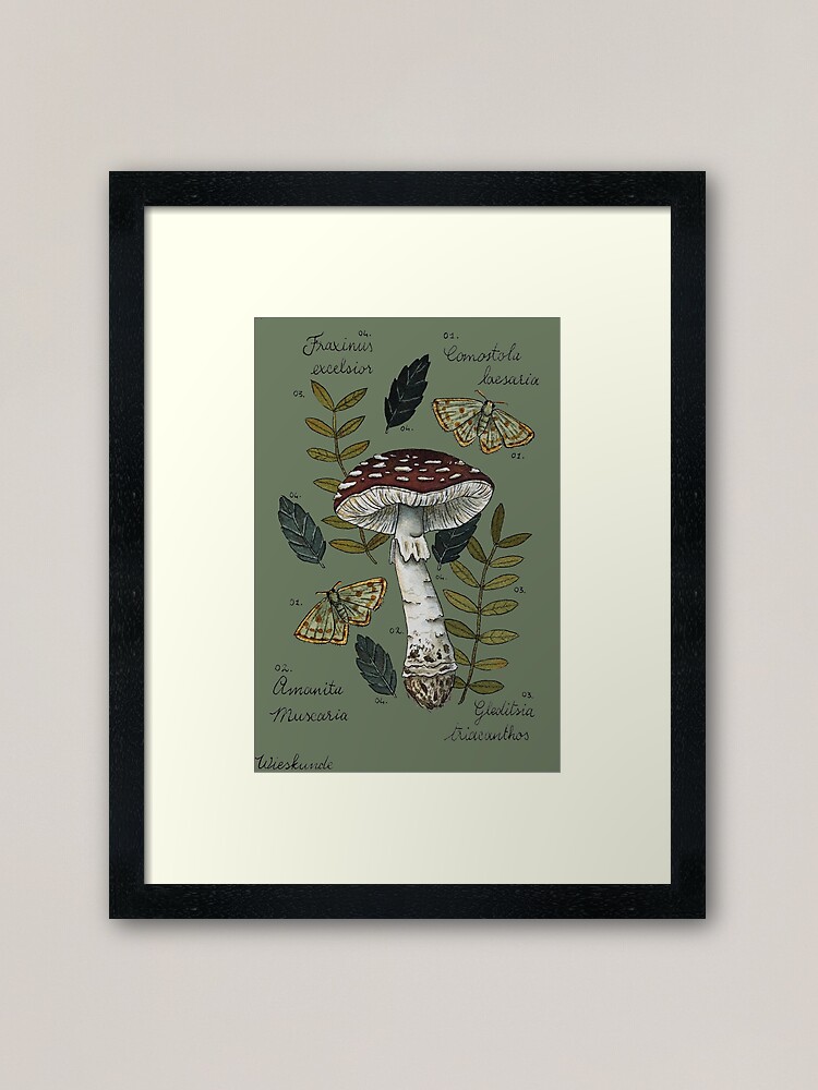 Alternate view of Amanita Muscaria with moths and leaves botanical illustration Framed Art Print