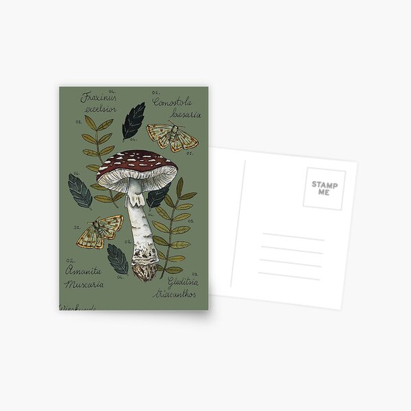 Item preview, Amanita Muscaria with moths and leaves botanical illustration designed and sold by Wieskunde.