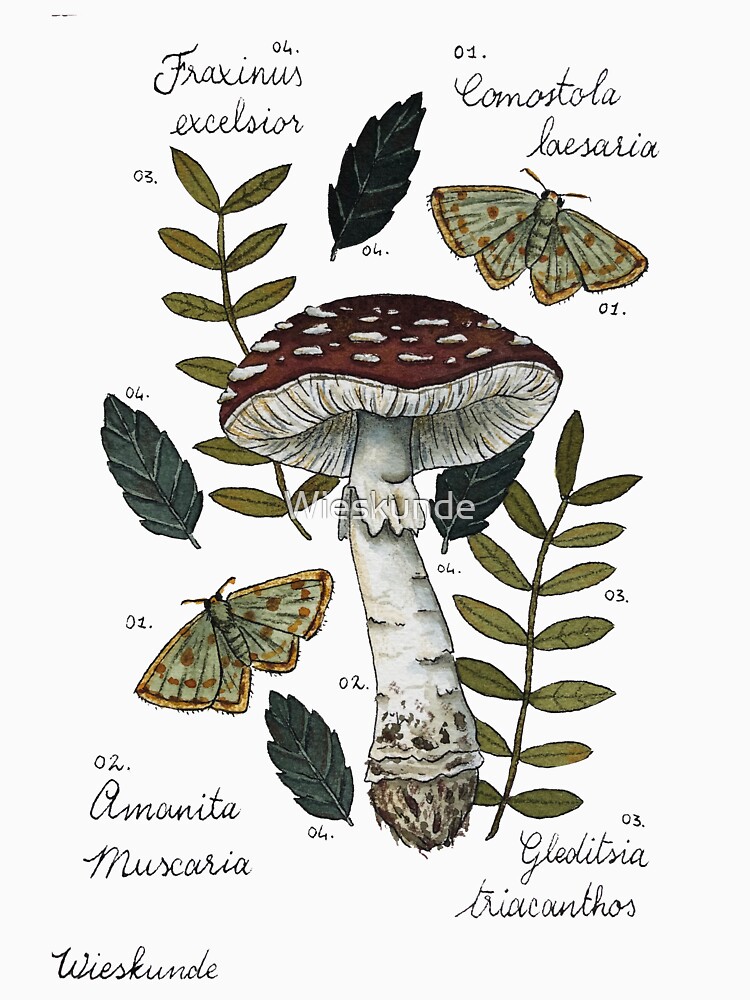 Disover Amanita Muscaria with moths and leaves botanical illustration | Essential T-Shirt 
