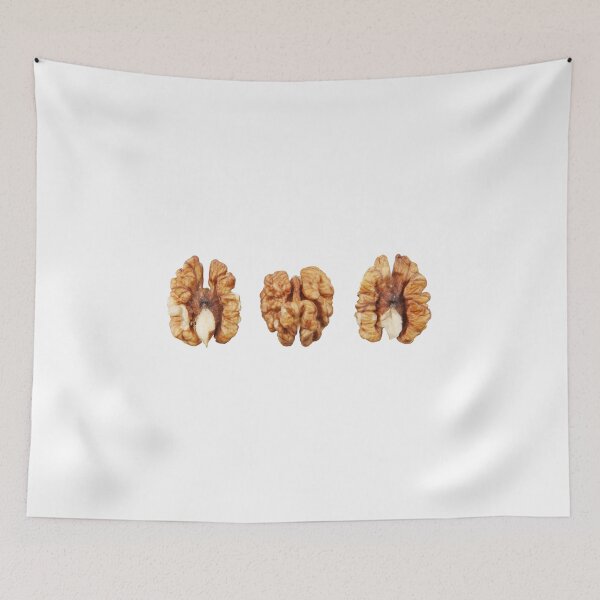 Item preview, Walnuts Isolated On White Background designed and sold by nenovimages.