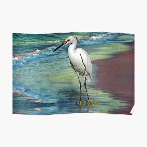 Ebb Tide Poster