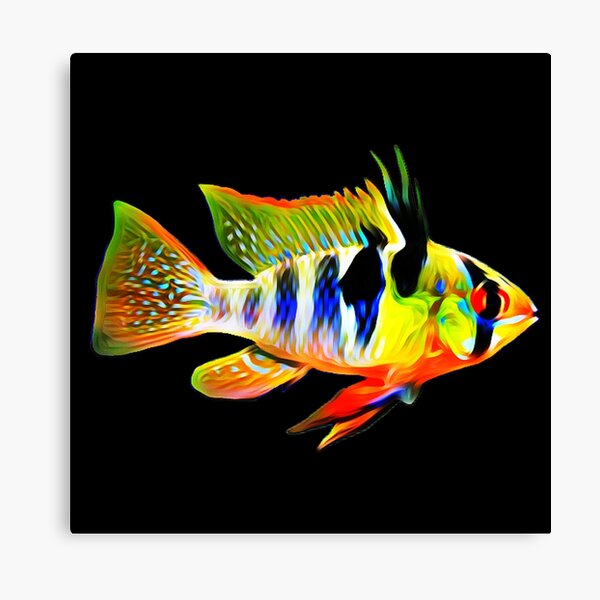 Vista previa del artículo con la obra «Acuario de cíclidos de ram azul alemán Cichlids enanos Regalo de propietarios de tanques de peces», diseñado y vendido por Catxel.