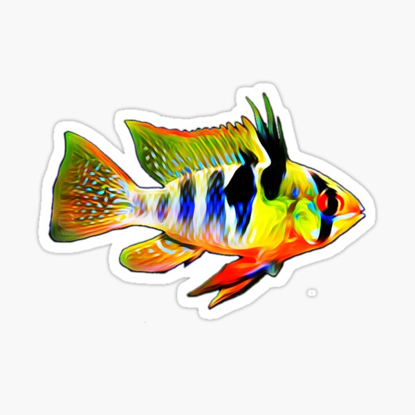 Artikel-Vorschau von Deutsch Blue Ram Cichlid Aquarium Zwerg Cichliden Aquarium Besitzer Geschenk, designt und verkauft von Catxel.