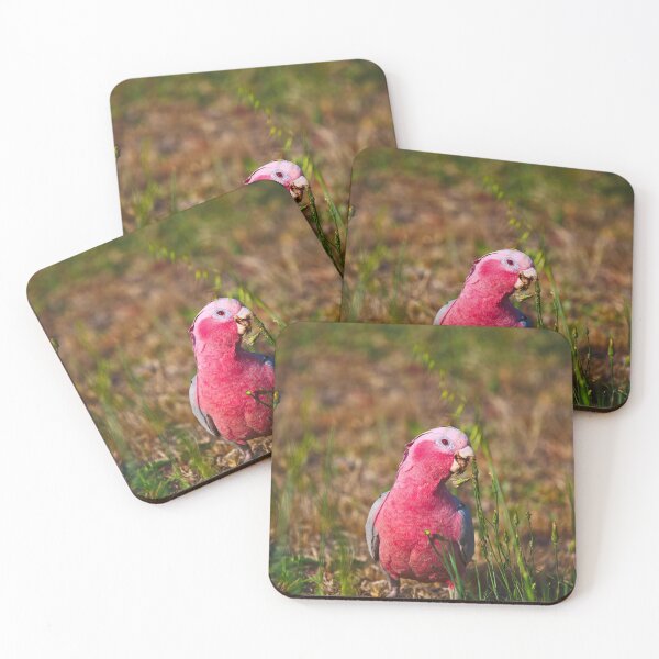 Item preview, A Pink And Grey Galah Eating Grass Seeds At Dusk designed and sold by Jason Gilbert.