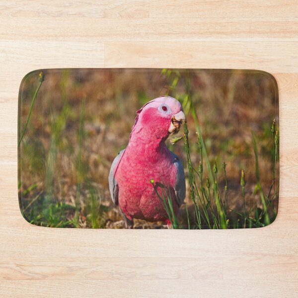 Item preview, A Pink And Grey Galah Eating Grass Seeds At Dusk designed and sold by Jason Gilbert.