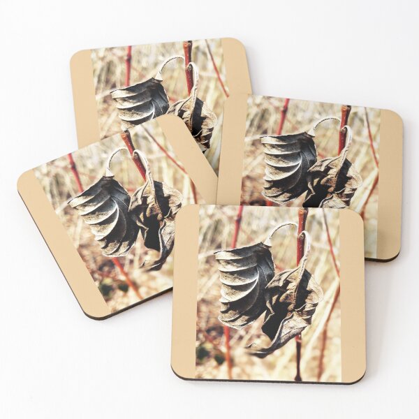 Item preview, Dead Leaf designed and sold by cglightNingART.