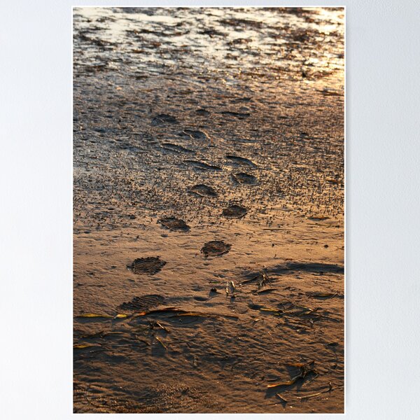 Item preview, Footprints in the MARSH  designed and sold by DriveModern.