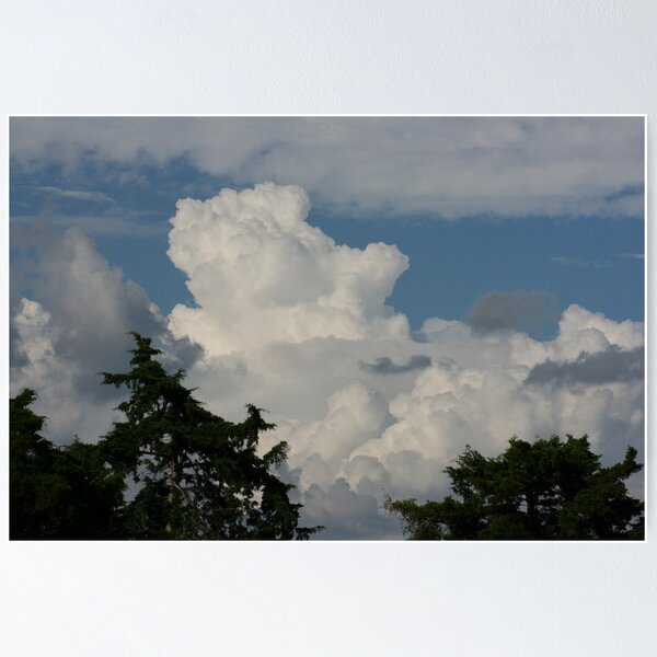 Item preview, LOOK UP - SEE THE BEAUTY designed and sold by Brenda Planchon.