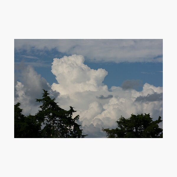 Artikelvorschau, LOOK UP - SEE THE BEAUTY entworfen und verkauft von Brenda Planchon.