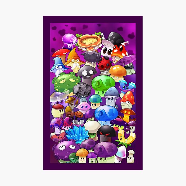 pvz merchandise store