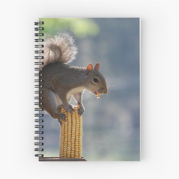 Item preview, Balancing Act designed and sold by ArkansasLisa.