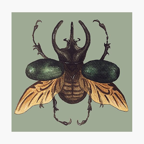 Item preview, Chalcosoma Atlas Dynastid beetle watercolor designed and sold by Wieskunde.