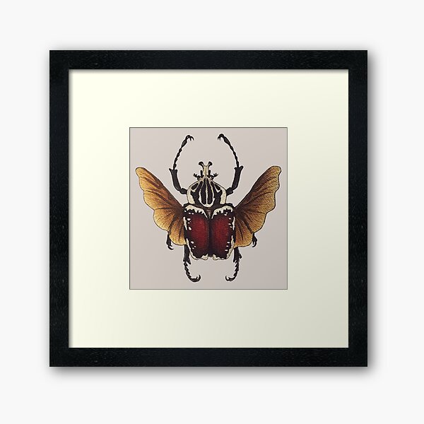 Item preview, Goliathus dynistae Goliath beetle watercolor designed and sold by Wieskunde.