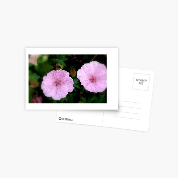 Double Postcard
